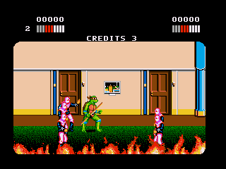 Teenage Mutant Hero Turtles